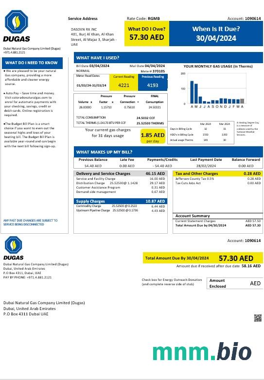 UAE Dubai Natural Gas Company Limited (Dugas) szablon rachunku za media Biznesowe w formatach Word i PDF